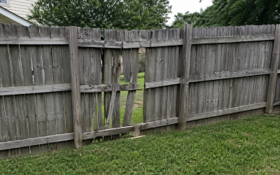 Signs You Need a New Privacy Fence (And When Repair Makes More Sense)